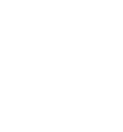 SiMelior 